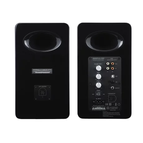 BOXE AIRPULSE 2.0, RMS: 100W (2 x 10W, 2 x 40W), USB, black, A100-BK