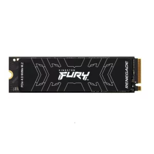 KS SSD 1TB M.2 2280 FURY RENEGADE, &quot;SFYRS/1000G&quot;