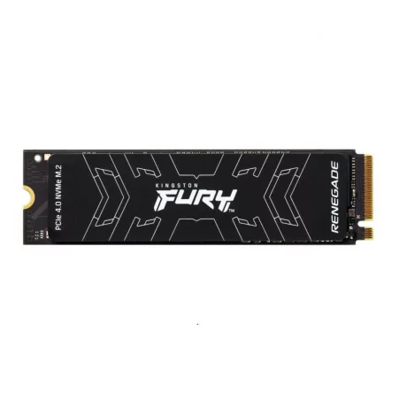 KS SSD 1TB M.2 2280 FURY RENEGADE, &quot;SFYRS/1000G&quot;