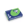 Carton color Clairefontaine Intens