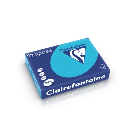 Carton color Clairefontaine Intens