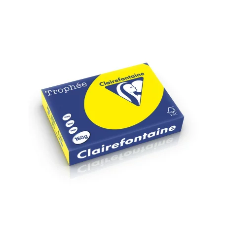 Carton color Clairefontaine Intens