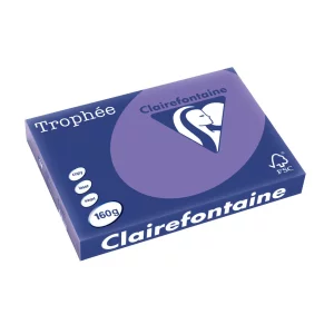 Carton color Clairefontaine Intens A3