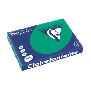 Carton color Clairefontaine Intens A3