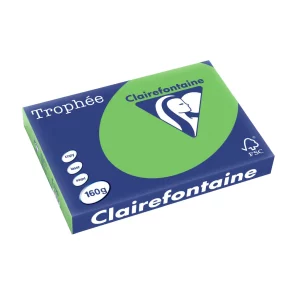 Carton color Clairefontaine Intens A3