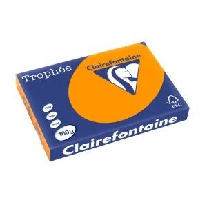 Carton color Clairefontaine Intens A3