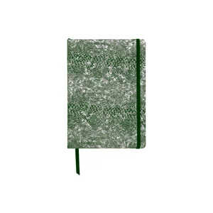 Notebook coperta tare piele,  A5, 144 pagini, Clairefontaine Celeste Green Silver