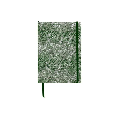 Notebook coperta tare piele,  A5, 144 pagini, Clairefontaine Celeste Green Silver