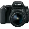 PHOTO CAMERA CANON 250D+18-55 DCIII KIT