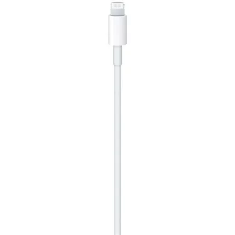 AL LIGHTNING TO USB-C CABLE (2 m)