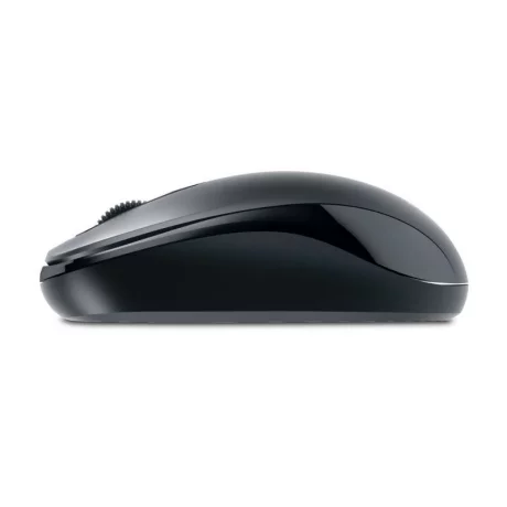 MOUSE GENIUS DX-110 BLACK USB G-31010116100