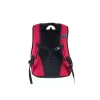 Rucsac Pulse Element Imperial Red