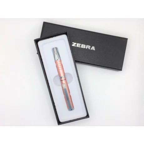 Pix 0.7 mm Zebra SL-F1