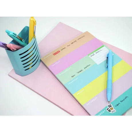 Pix 1.0 mm Zebra Z-Grip Pastel