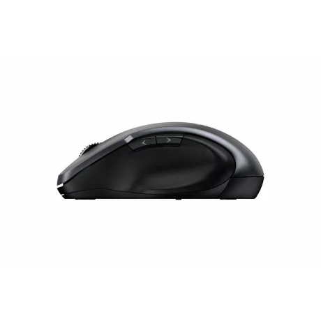 MOUSE Genius Ergo NX-8200S gri 31030029401