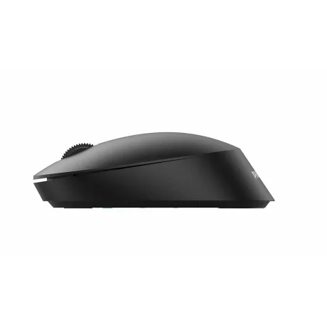 Mouse Philips SPK7407, wireless