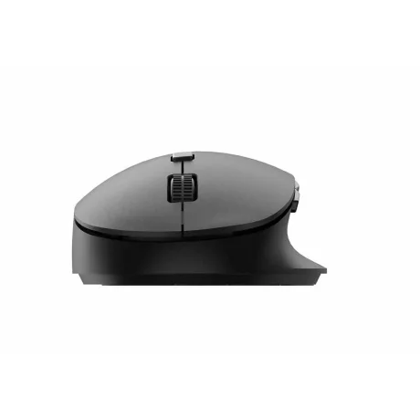 Mouse Philips SPK7507, wireless