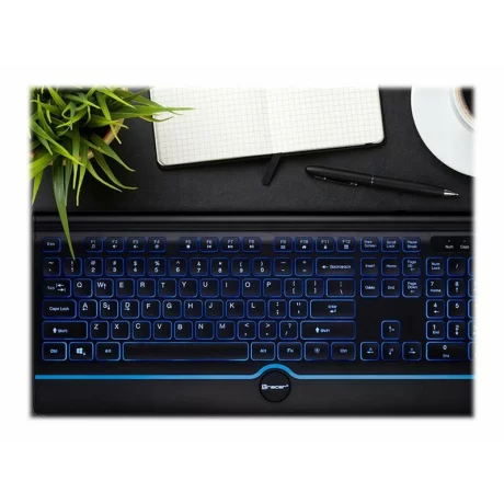 Tastatura office cu fir TRACER TRAKLA46473