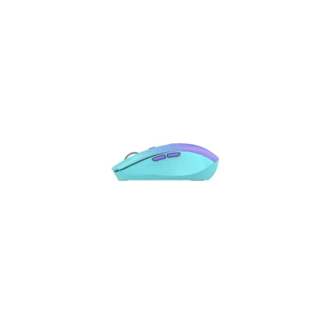 MOUSE SERIOUX FLICKER 212 WR GRADIENT