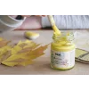 Vopsea eco Nature Kreul 50 ml