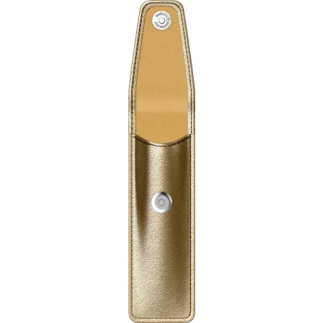 Etui Parker Economic Pearl Gold