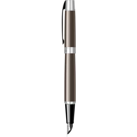 Metallic Grey CT Stilou