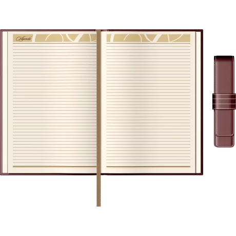 Set Agenda Piele B5 + Pouch Pen - Bordeaux