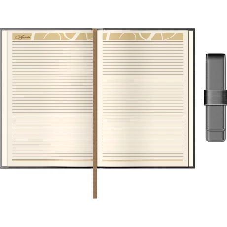 Set Agenda Piele B5 + Pouch Pen - Grey