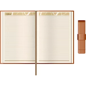 Set Agenda Piele B5 + Pouch Pen - Orange