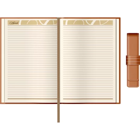 Set Agenda Piele B5 + Pouch Pen - Orange