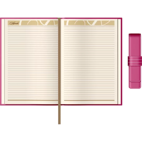 Set Agenda Piele B5 + Pouch Pen - Pink