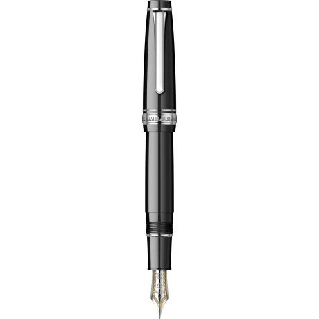 Stilou PG Regular Black RHT 21K (F)