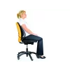 Suport ergonomic pentru spate mesh Fellowes