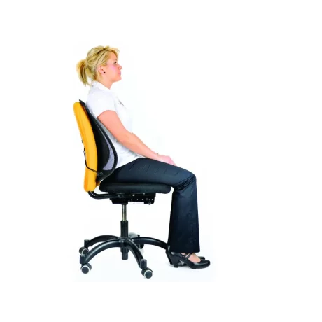 Suport ergonomic pentru spate mesh Fellowes