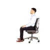 Suport ergonomic pentru spate Pro Series Ultimate Fellowes