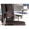 Suport ergonomic pentru spate Pro Series Ultimate Fellowes