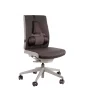 Suport ergonomic pentru spate Pro Series Ultimate Fellowes