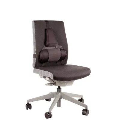 Suport ergonomic pentru spate Pro Series Ultimate Fellowes