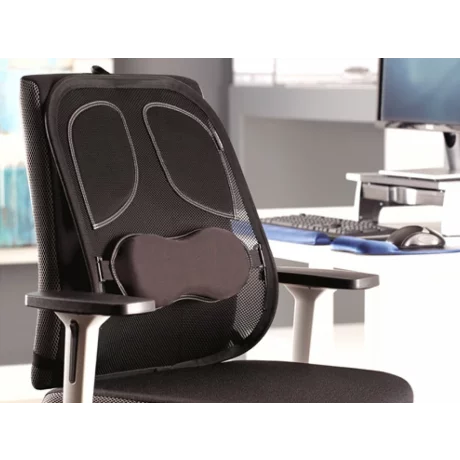 Suport ergonomic pentru spate Professional mesh Fellowes
