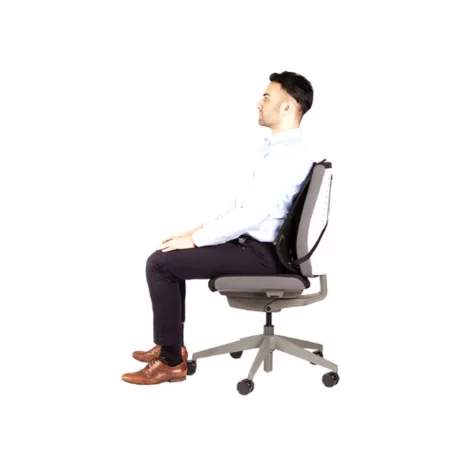 Suport ergonomic pentru spate Professional mesh Fellowes