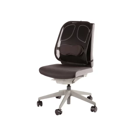 Suport ergonomic pentru spate Professional mesh Fellowes