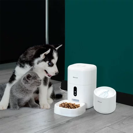 Dispenser apă animale WiFi Tellur Smart, 2L, Alb