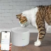 Dispenser apă animale WiFi Tellur Smart, 2L, Alb