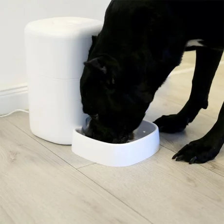 Dispenser hrană animale WiFi Tellur Smart, Cameră UltraHD, 4L, Alb