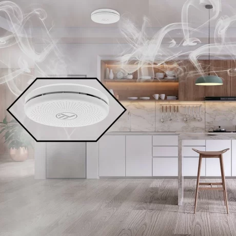 Senzor de fum și CO WiFi Tellur Smart, AA, alb