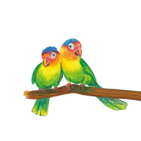 Creioane colorate triunghiulare + ascuțitoare eco Faber-Castell 12 culori/set