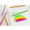 Creioane colorate triunghiulare grip 2001 Faber-Castell 24 culori/set