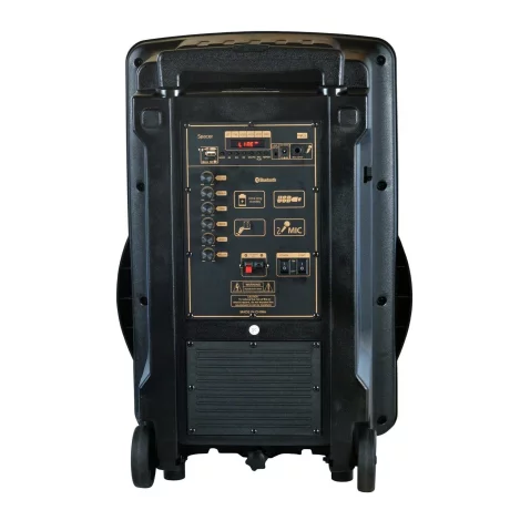 BOXE SPACER portabile bluetooth LION, tip troler, RMS: 120W, 15&quot; woofer, acumulator 4.5A, input : AUX audio, guitar, USB/microSD, remote control, wireless microphone, black, &quot;SPB-A25-BT&quot;/43501374   (include TV 30 lei)