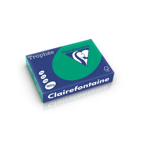 Carton color Clairefontaine Intens