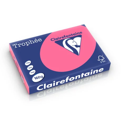 Carton color Clairefontaine Intens A3 Roz